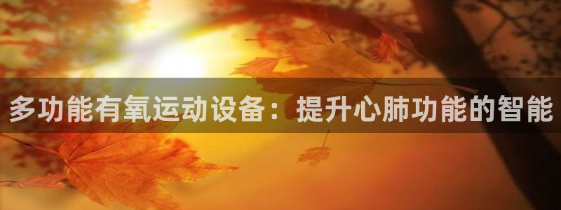 凯捷体育招商电话号码：多功能有氧运动设备：提升心肺功