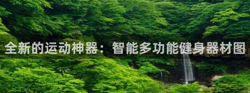 凯捷体育平台注册流程图：全新的运动神器：智能多功能健身器材图