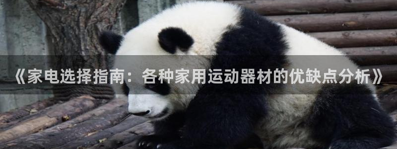 凯捷体育娱乐：《家电选择指南：各种家用运动器材的优缺