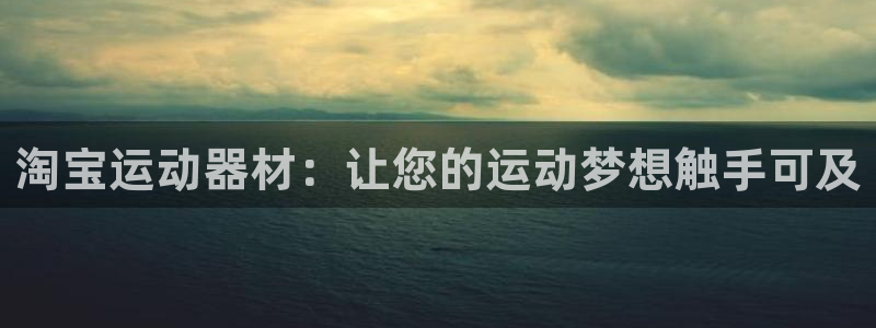 凯捷体育代理：淘宝运动器材：让您的运动梦想触手可及