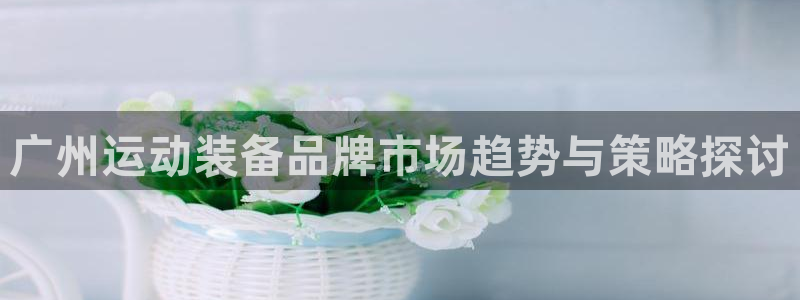 凯捷体育招商电话是多少：广州运动装备品牌市场趋势与策