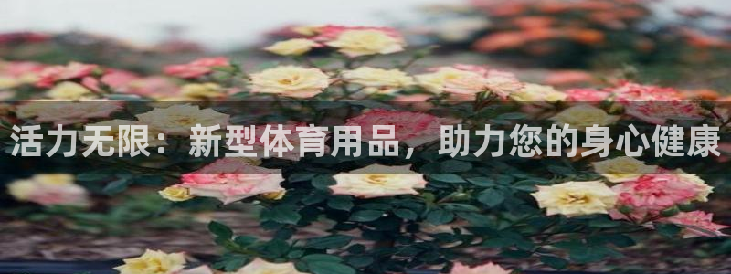 凯捷体育招商电话是多少号码：活力无限：新型体育用品，