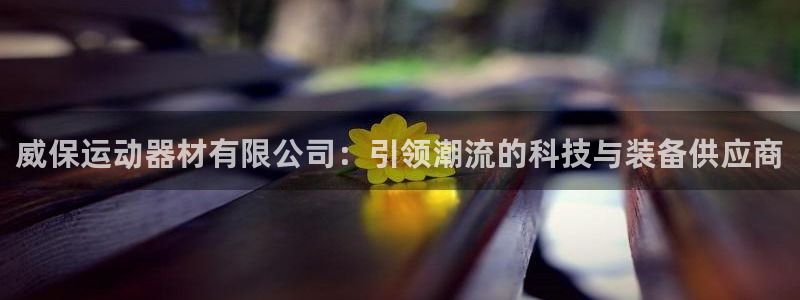 凯捷体育招商电话是多少啊：威保运动器材有限公司：引领