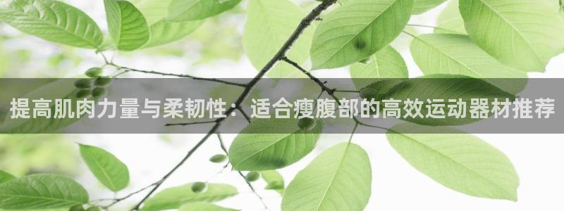 凯捷体育平台是正规平台吗安全吗：提高肌肉力量与柔韧性