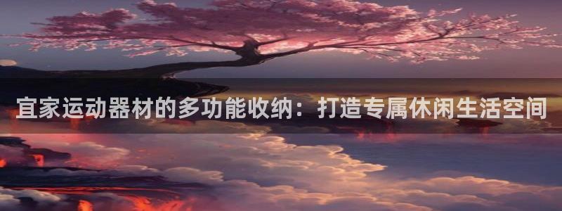 凯捷体育官网：宜家运动器材的多功能收纳：打造专属休闲
