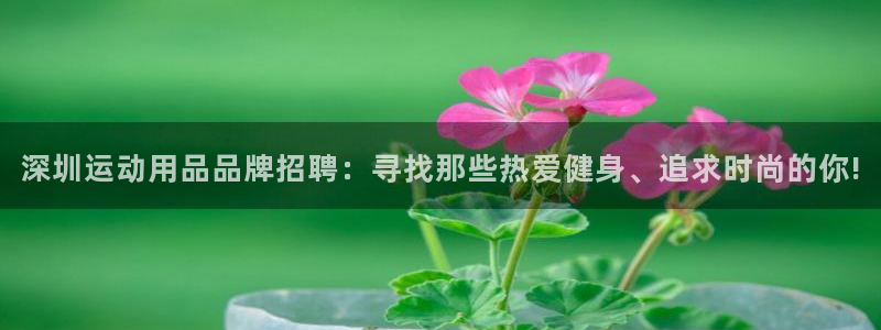 凯捷体育娱乐