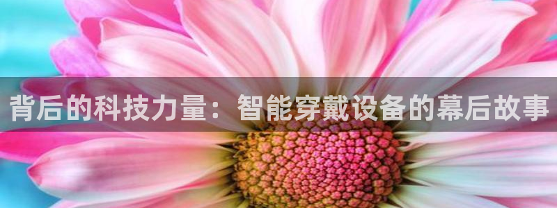 凯捷体育招商电话号码查询是多少：背后的科技力量：智能