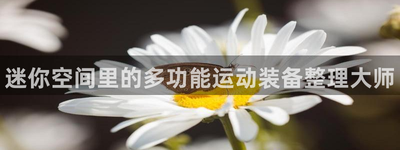 凯捷体育平台是正规平台吗：迷你空间里的多功能运动装备整理大师