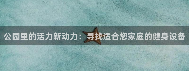 凯捷体育五金厂：公园里的活力新动力：寻找适合您家庭的健身设备