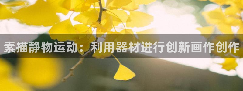 凯捷体育官方：素描静物运动：利用器材进行创新画作创作