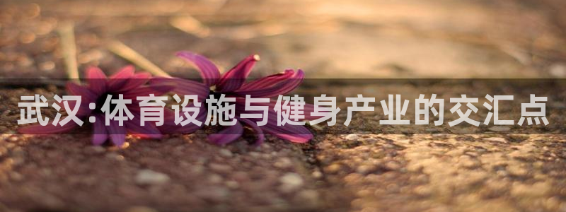 凯捷体育开户：武汉:体育设施与健身产业的交汇点