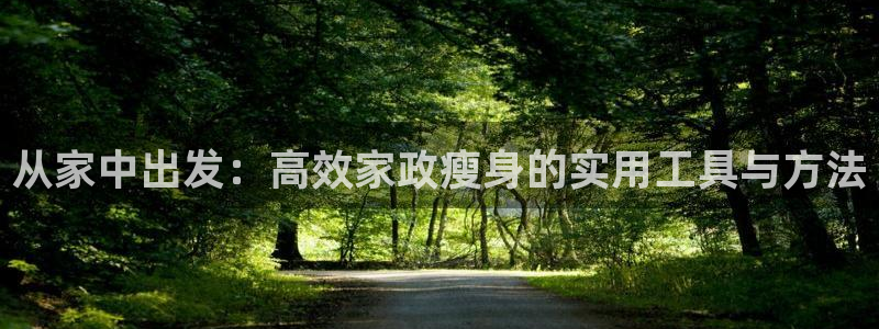 凯捷体育注册：从家中出发：高效家政瘦身的实用工具与方