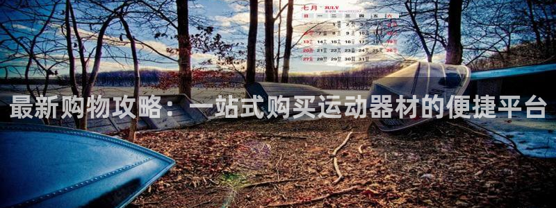 凯捷体育平台注册流程视频：最新购物攻略：一站式购买运动器材的