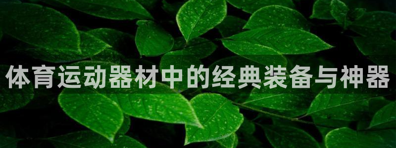 凯捷体育娱乐首页网站大全：体育运动器材中的经典装备与神器