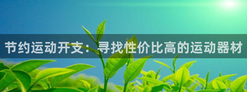 海南凯捷体育发展怎么样：节约运动开支：寻找性价比高的运动器材