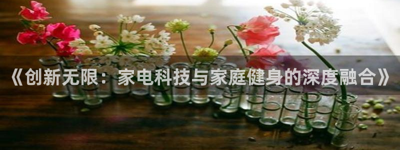凯捷体育招商电话是多少：《创新无限：家电科技与家庭健身的深度