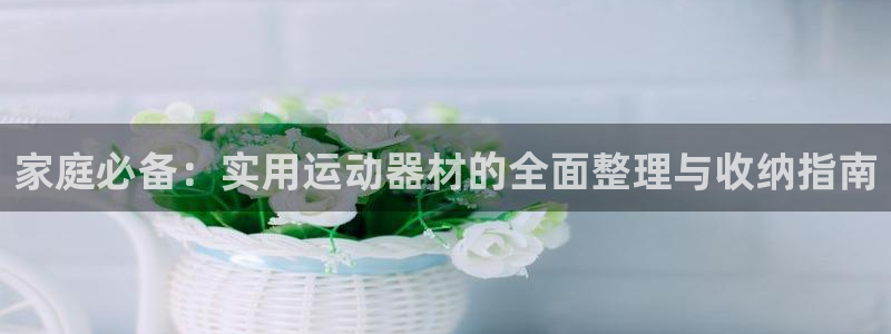 凯捷体育集团E.ON