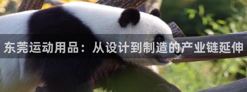 凯捷体育官方：东莞运动用品：从设计到制造的产业链延伸
