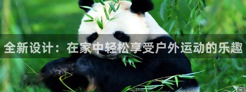 凯捷体育官方：全新设计：在家中轻松享受户外运动的乐趣