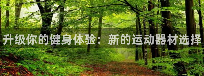 凯捷体育娱乐：升级你的健身体验：新的运动器材选择