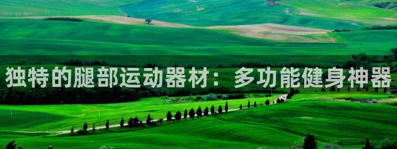 凯捷体育平台注册流程图：独特的腿部运动器材：多功能健