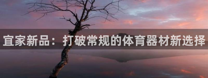 凯捷体育集团简介：宜家新品：打破常规的体育器材新选择