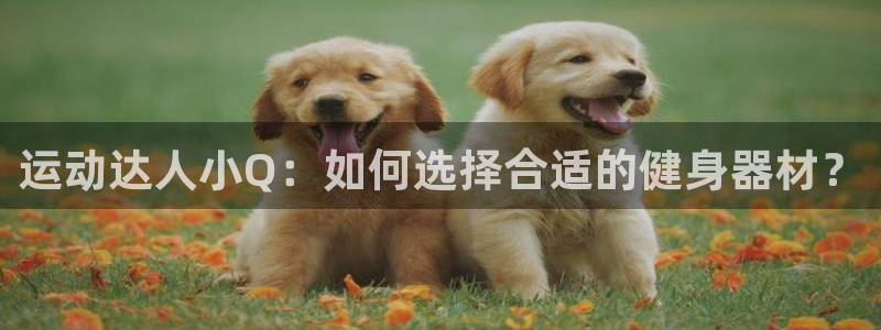 凯捷体育开户：运动达人小Q：如何选择合适的健身器材？