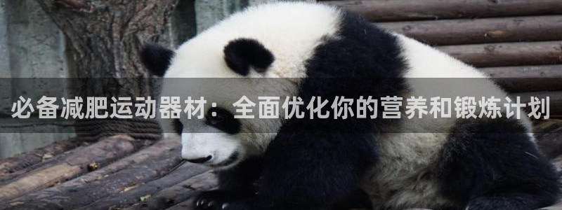 意昂平台体育：必备减肥运动器材：全面优化你的营养和锻