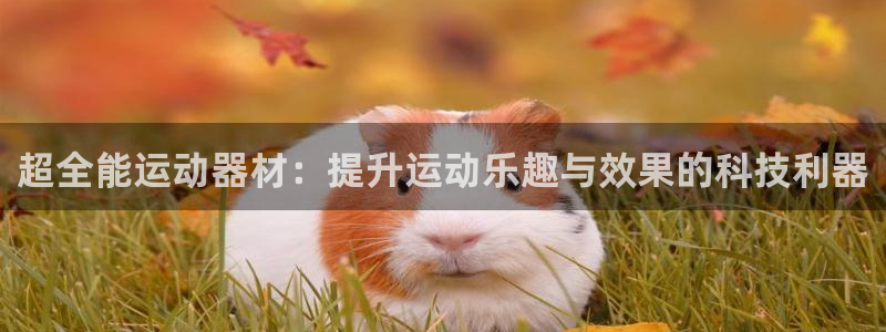 凯捷体育平台注册要钱吗安全吗：超全能运动器材：提升运