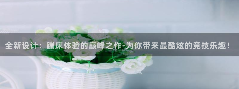 凯捷体育娱乐下载：全新设计：蹦床体验的巅峰之作-为你