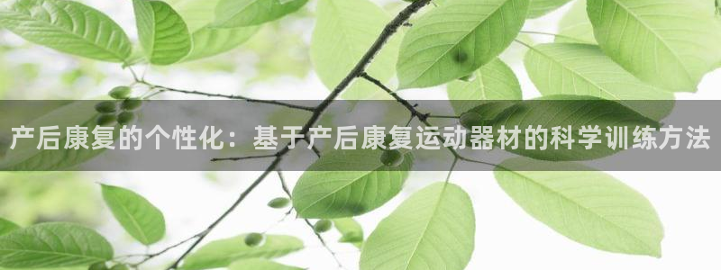 凯捷体育娱乐代理怎么样：产后康复的个性化：基于产后康