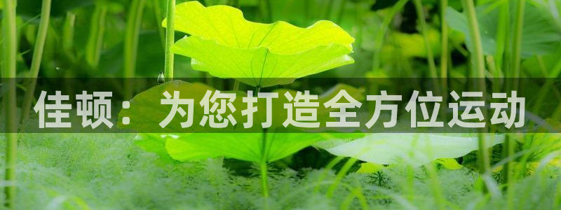 凯捷体育娱乐是那个系列的台子：佳顿：为您打造全方位运