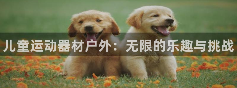 注册凯捷体育：儿童运动器材户外：无限的乐趣与挑战