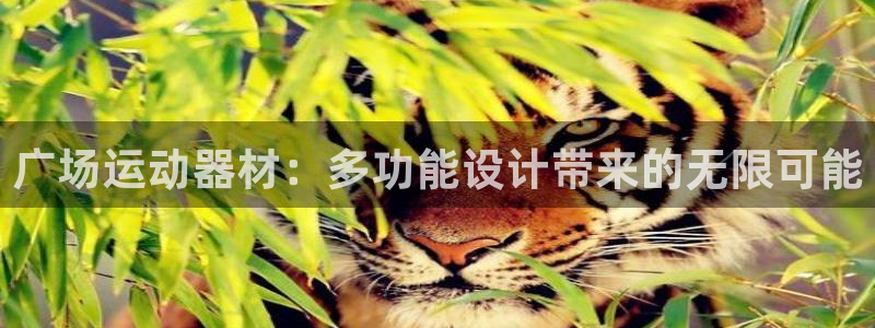 凯捷体育是干嘛的公司：广场运动器材：多功能设计带来的