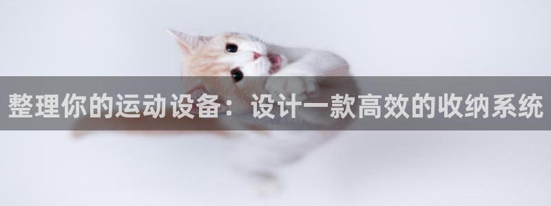 凯捷体育招商电话地址查询：整理你的运动设备：设计一款高效的收