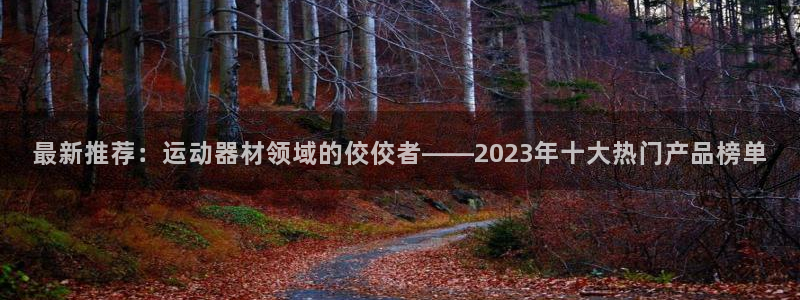 凯捷体育娱乐：最新推荐：运动器材领域的佼佼者——20