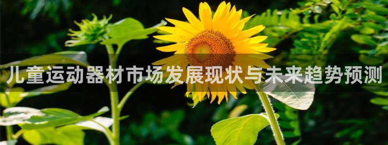 海南凯捷体育发展怎么样：儿童运动器材市场发展现状与未