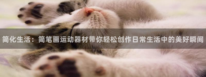 凯捷体育招商电话地址是多少：简化生活：简笔画运动器材带你轻松
