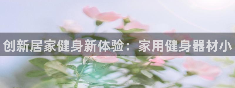 凯捷体育娱乐网站：创新居家健身新体验：家用健身器材小