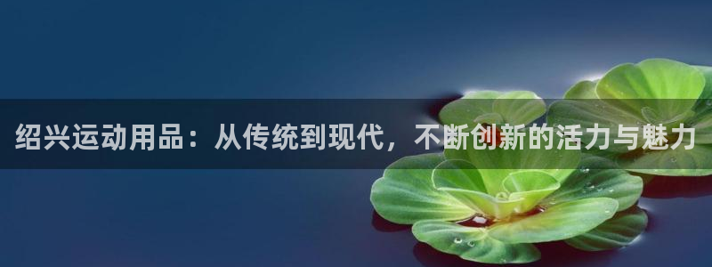 凯捷体育集团官网首页：绍兴运动用品：从传统到现代，不断创新的