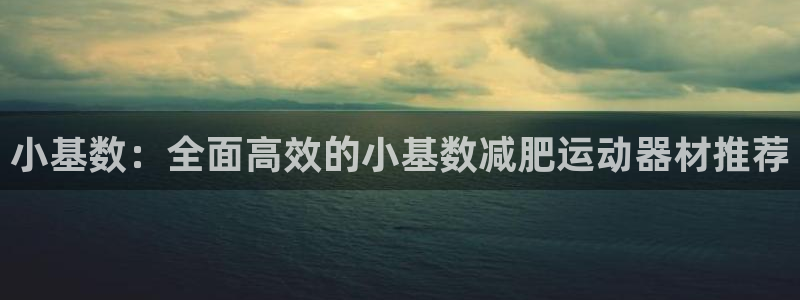 凯捷体育平台注册：小基数：全面高效的小基数减肥运动器