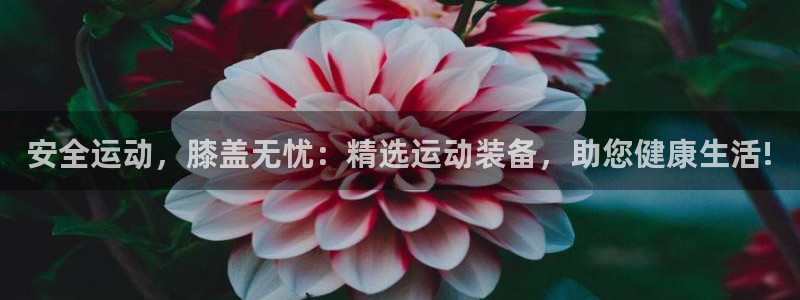 凯捷体育娱乐：安全运动，膝盖无忧：精选运动装备，助您健康生活