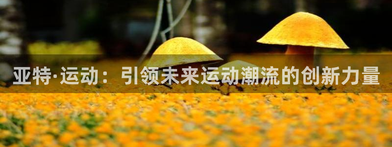 凯捷体育平台注册流程图：亚特·运动：引领未来运动潮流