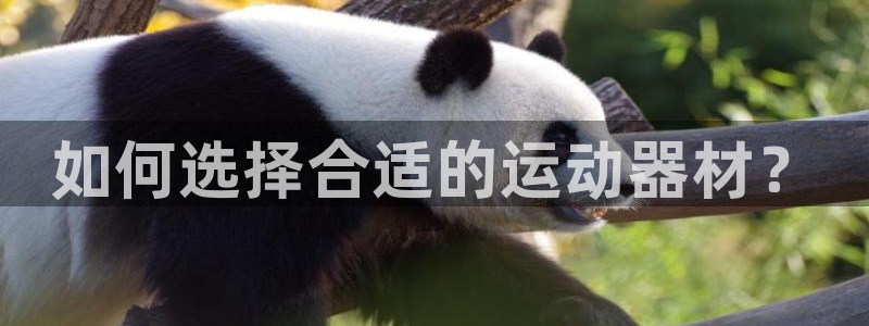 凯捷体育招商电话：如何选择合适的运动器材？