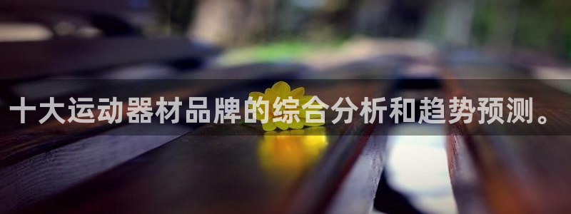 凯捷体育平台APP：十大运动器材品牌的综合分析和趋势