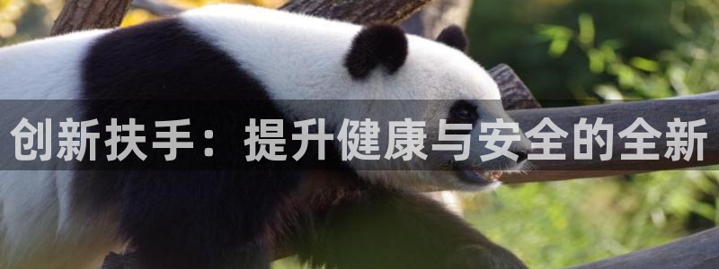 海南凯捷体育发展怎么样：创新扶手：提升健康与安全的全新