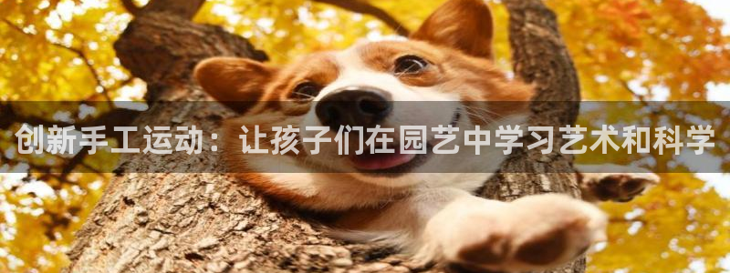 凯捷体育娱乐是那个系列的台子