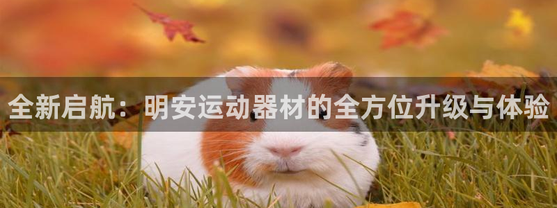 凯捷体育代理：全新启航：明安运动器材的全方位升级与体