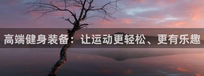 凯捷体育注册：高端健身装备：让运动更轻松、更有乐趣