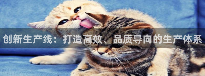 德国凯捷体育集团：创新生产线：打造高效、品质导向的生